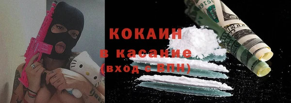 индика Кукмор