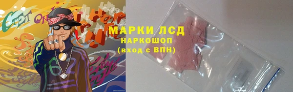 соль ск Краснослободск