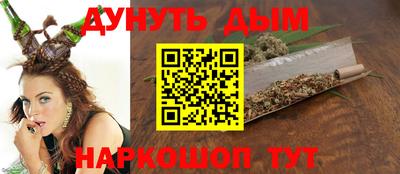 сатива Славгород
