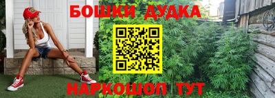 сатива Славгород