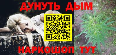 сатива Славгород