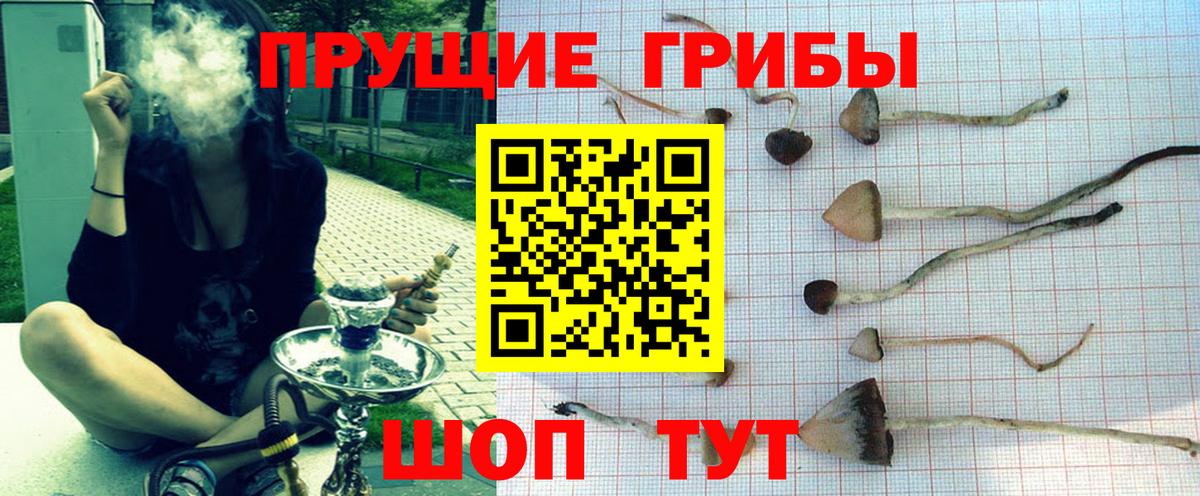Одинцово  Галлюциногенные грибы прущие грибы  Галлюциногенные грибы Cubensis  Вход с VPN 
